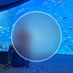 2023-01-16_100245.jpg